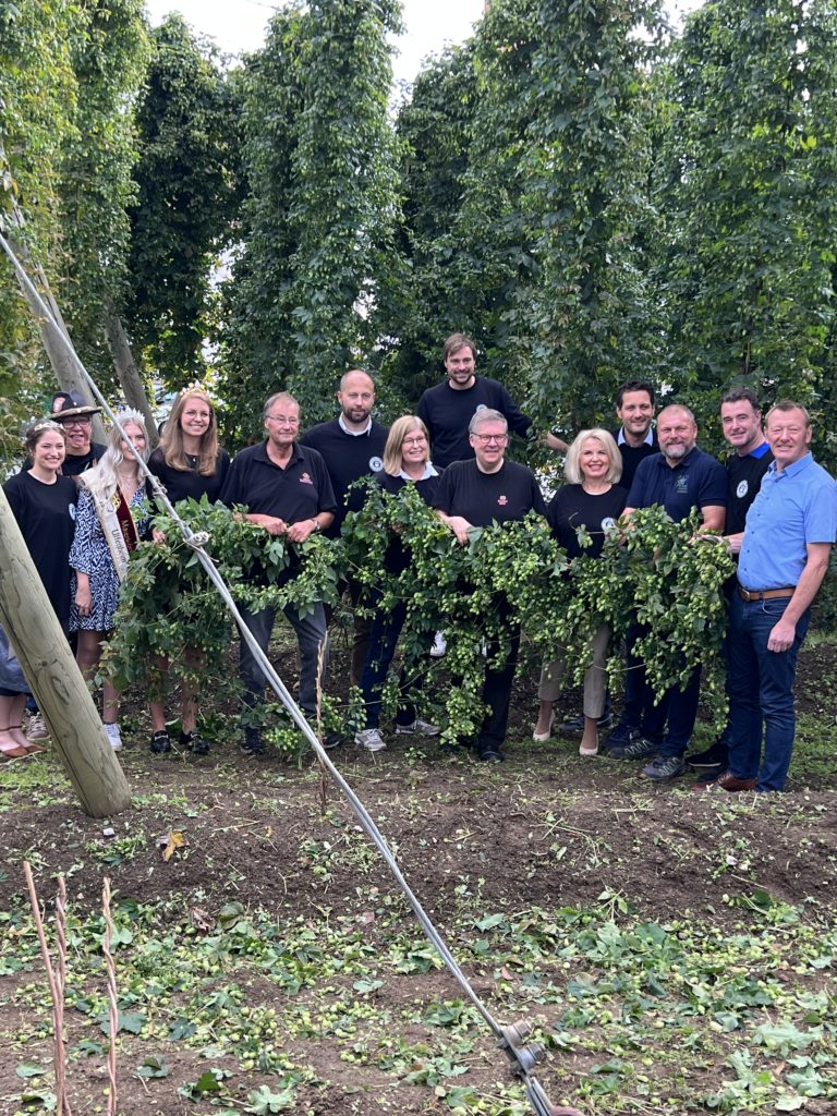 Hopfenernte bei Kauzenbräu